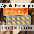 Ajanta Kamagra new05